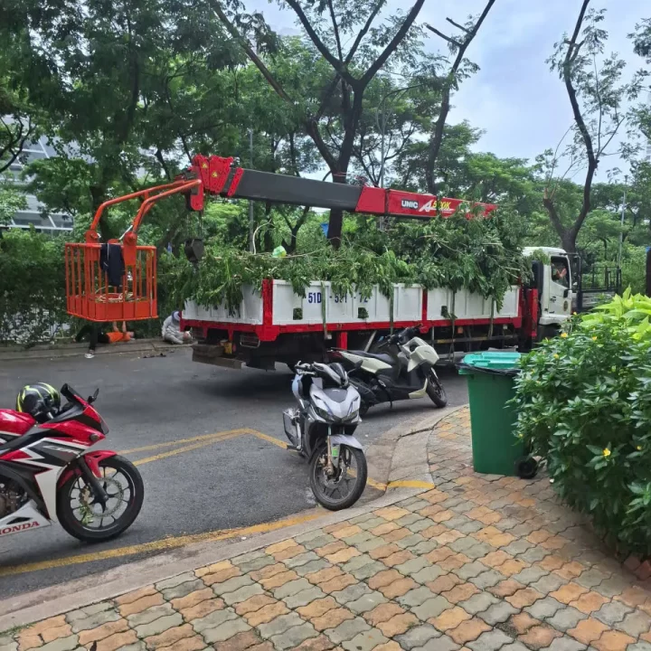 cưa cắt cành tại quận 1 tphcm