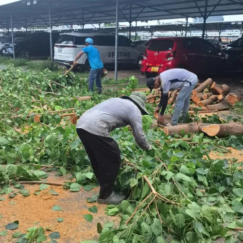 z7461059265448_857eb49318b1c79c36a9f954ffd745cc