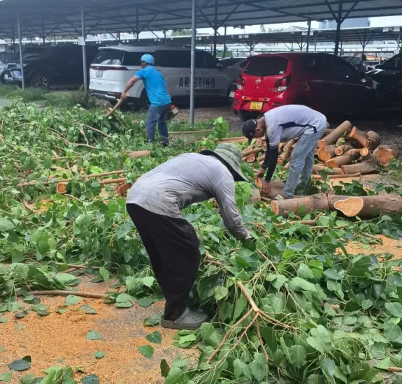 z7461059265448_857eb49318b1c79c36a9f954ffd745cc